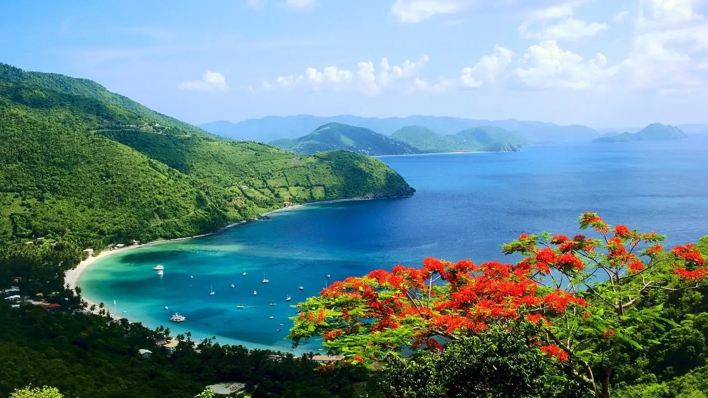 高效智能绿色
